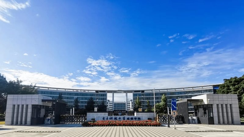 国产芯片产业链：揭秘十大品牌背后的实力与潜力