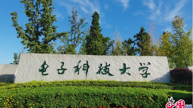 刚性线路板：揭秘型号背后的技术密码**