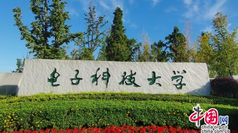 二极管：揭秘十大品牌背后的技术实力**